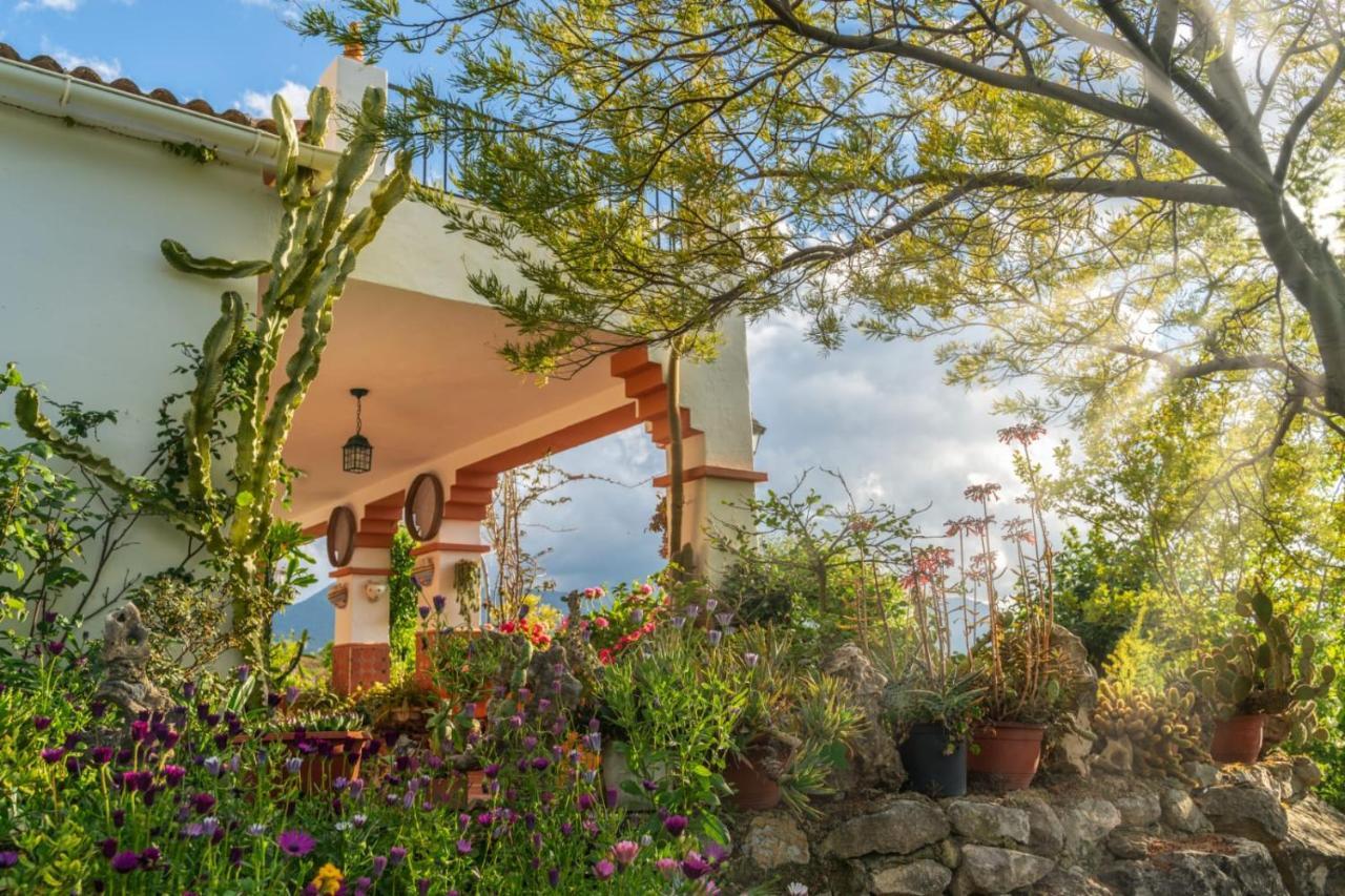 Los Cactus El Gastor Dış mekan fotoğraf