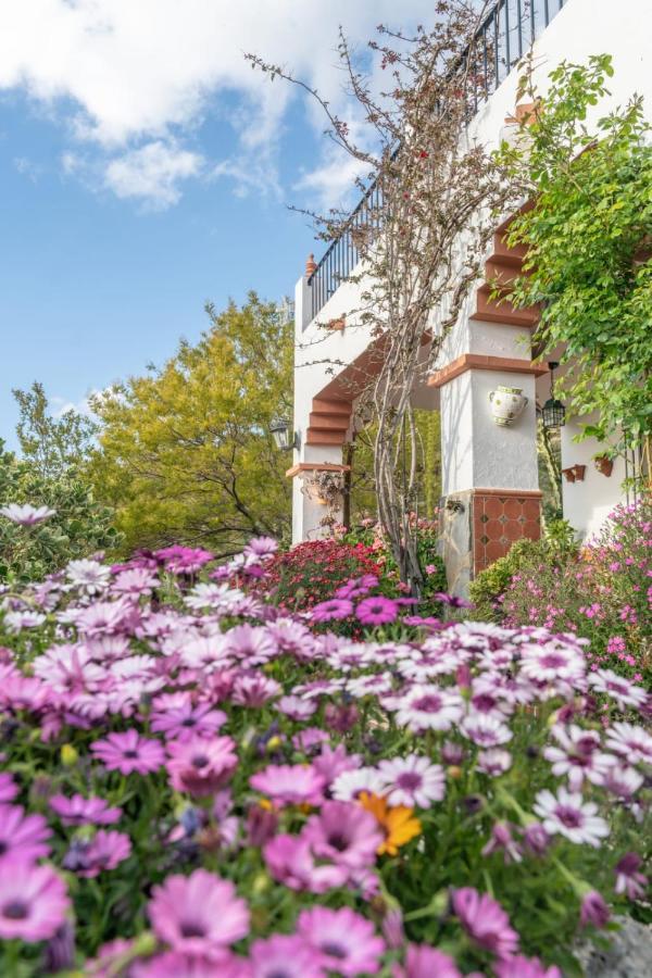 Los Cactus El Gastor Dış mekan fotoğraf