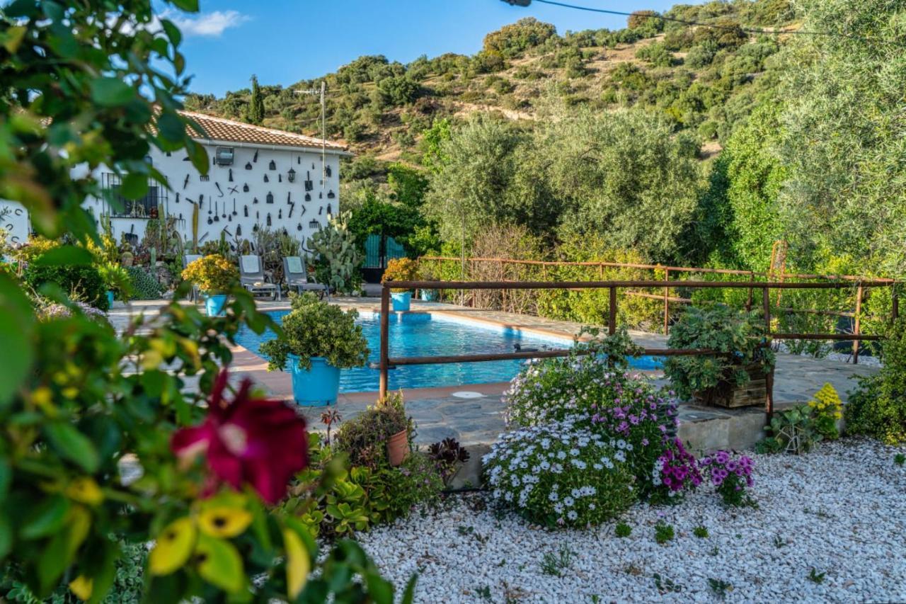 Los Cactus El Gastor Dış mekan fotoğraf