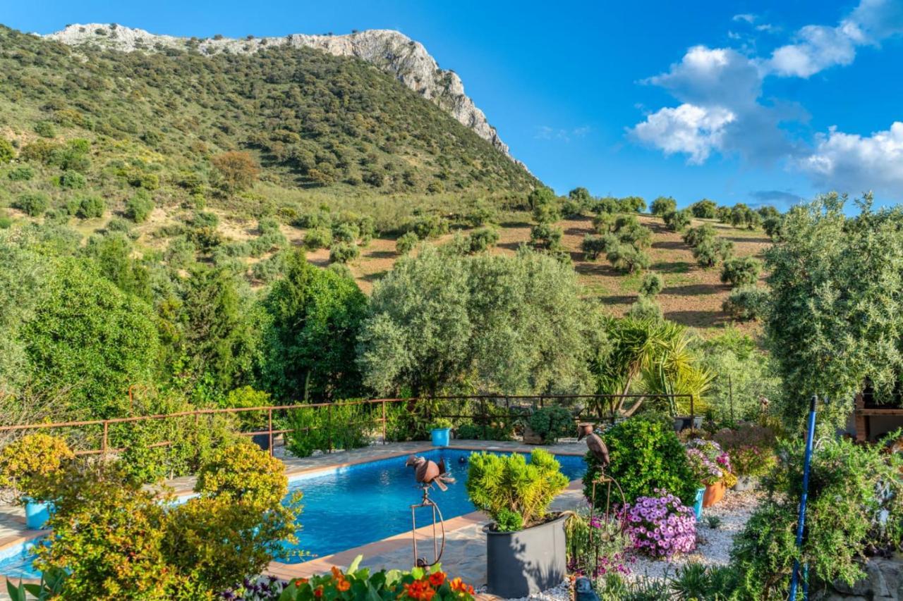 Los Cactus El Gastor Dış mekan fotoğraf